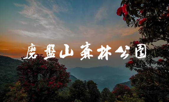 江西南昌磨盘山森林公园-北京分形智能